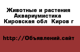 Животные и растения Аквариумистика. Кировская обл.,Киров г.